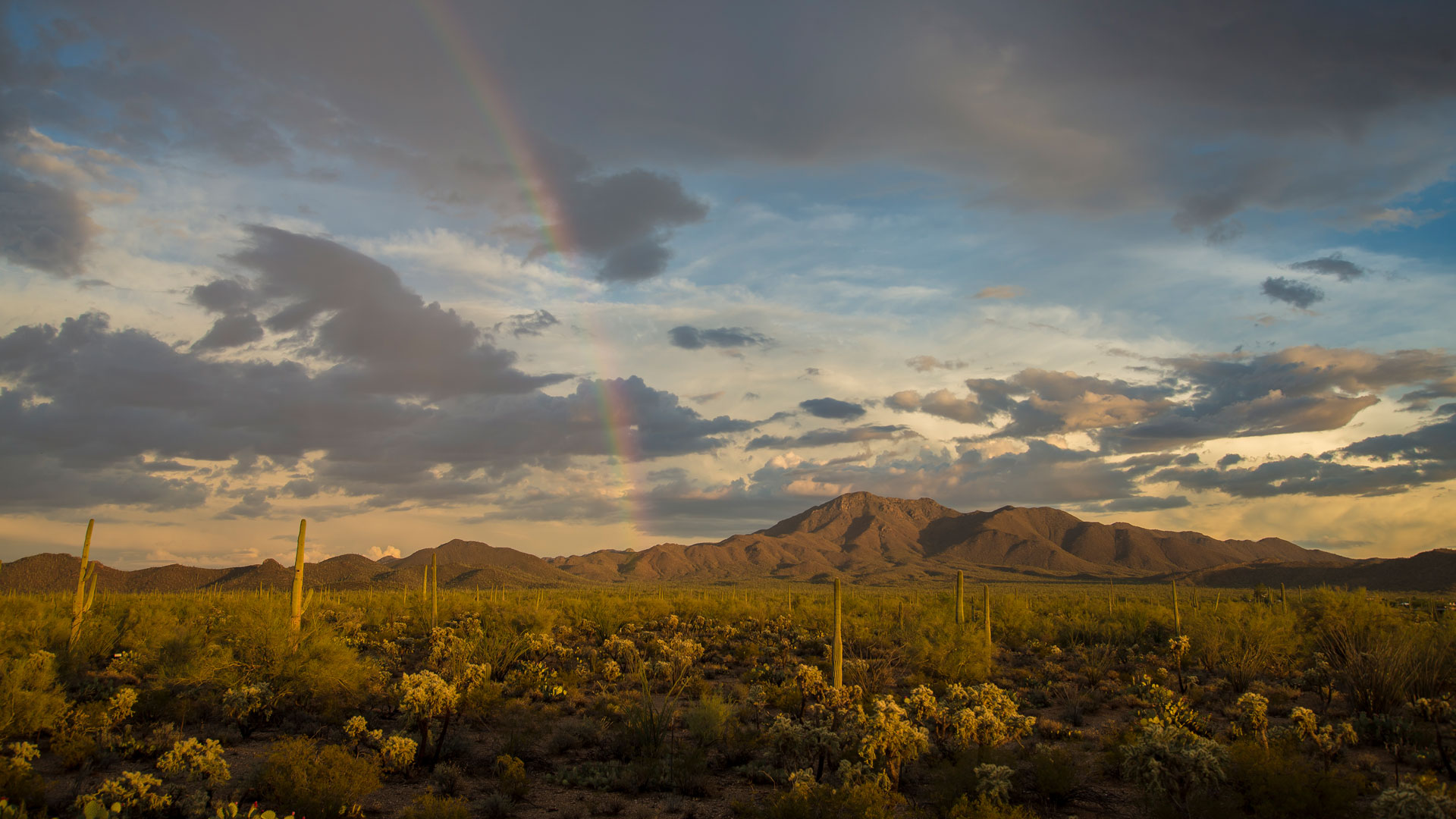 【Go】控制结构